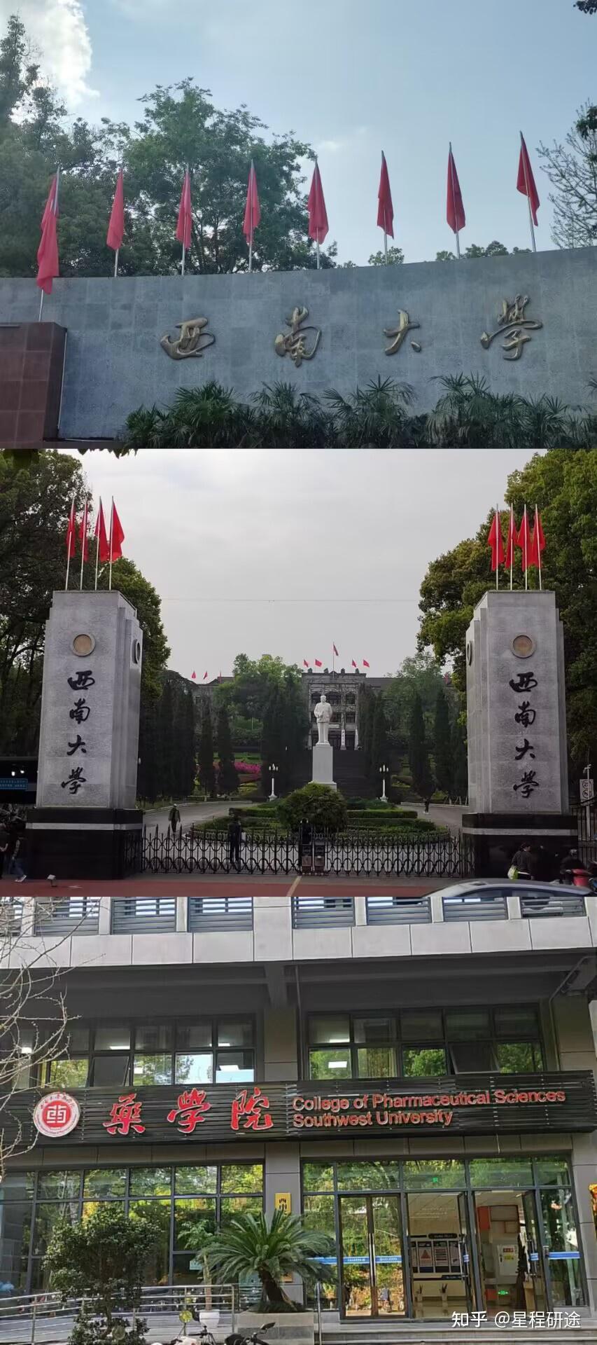 西南大学药学院638药学综合考研经验分享