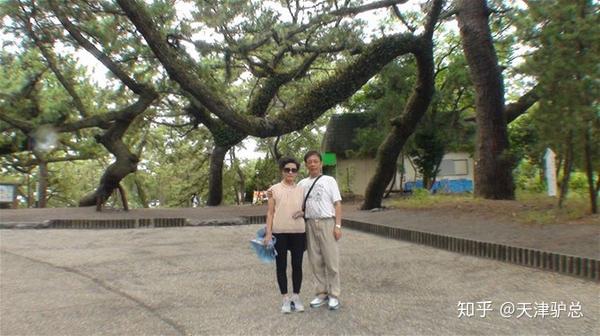 三保松原 御穗神社 日本 知乎