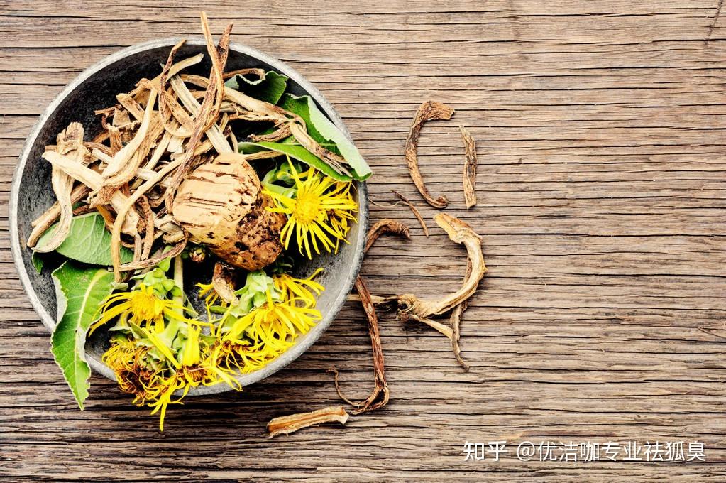 狐臭百科小知识密陀僧散组成:雄黄,硫黄,蛇床子各6克,密陀僧,石黄各3
