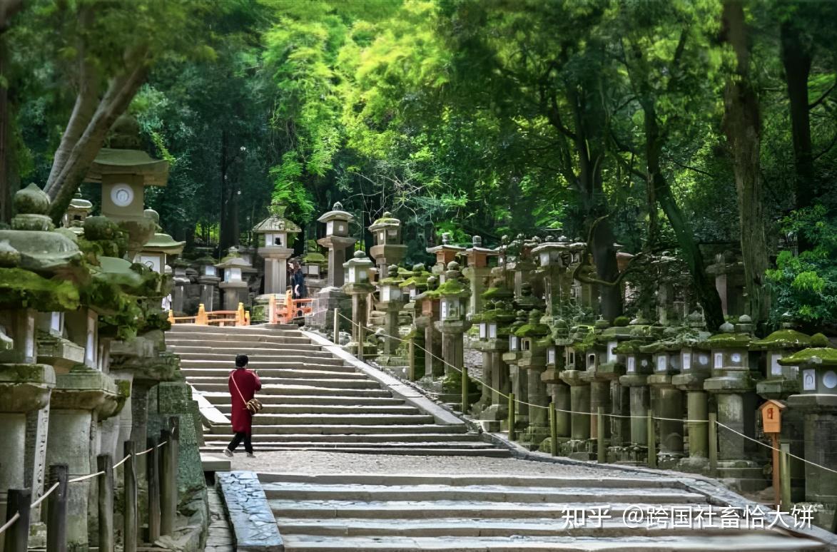 春日神的地位从千与千寻中就能看出,飞鸟时代古建筑果然够面子! - 知乎