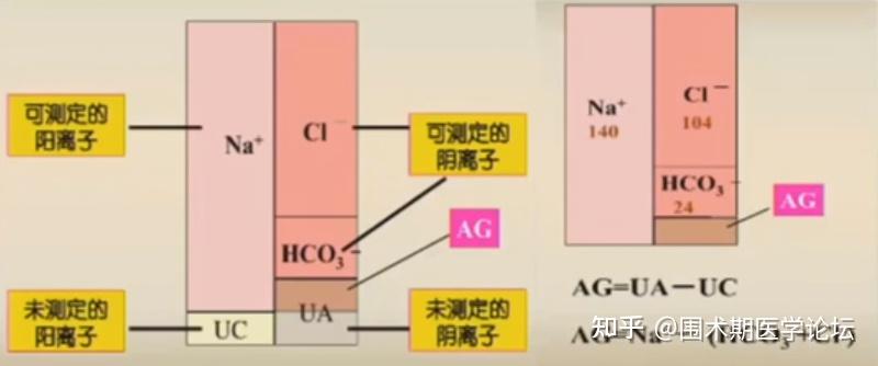 67重症视角丨程真顺教授血气分析流程