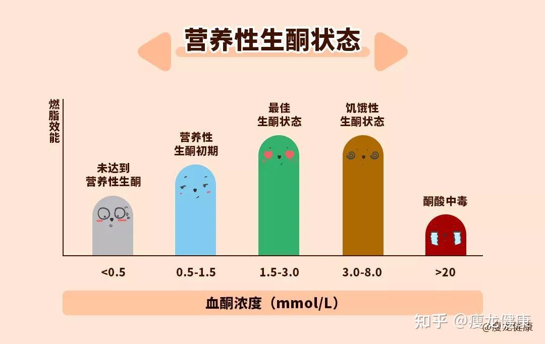 国内知名营养师不要侮辱生酮饮食了你知道什么是生酮饮食吗