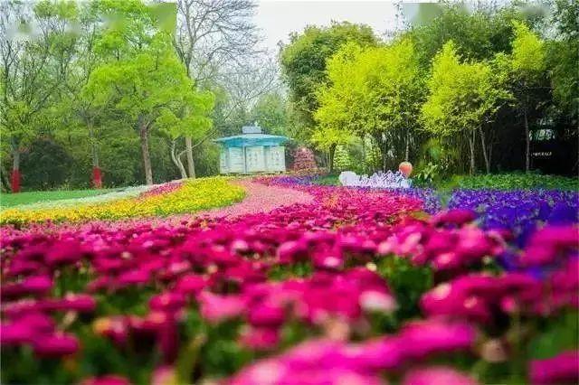 图文解析 | 景观植物设计的配置方法 - 知乎
