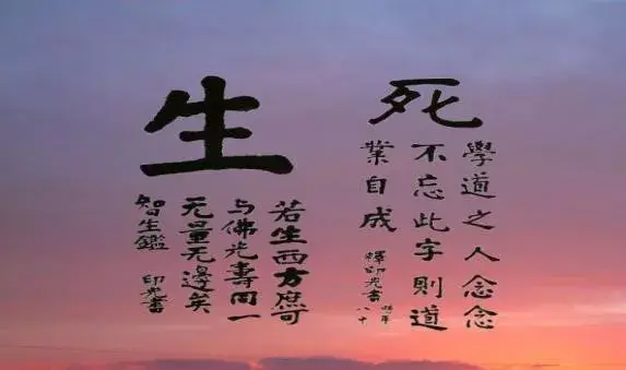 向死而生:人生中必修的死亡学分 - 知乎