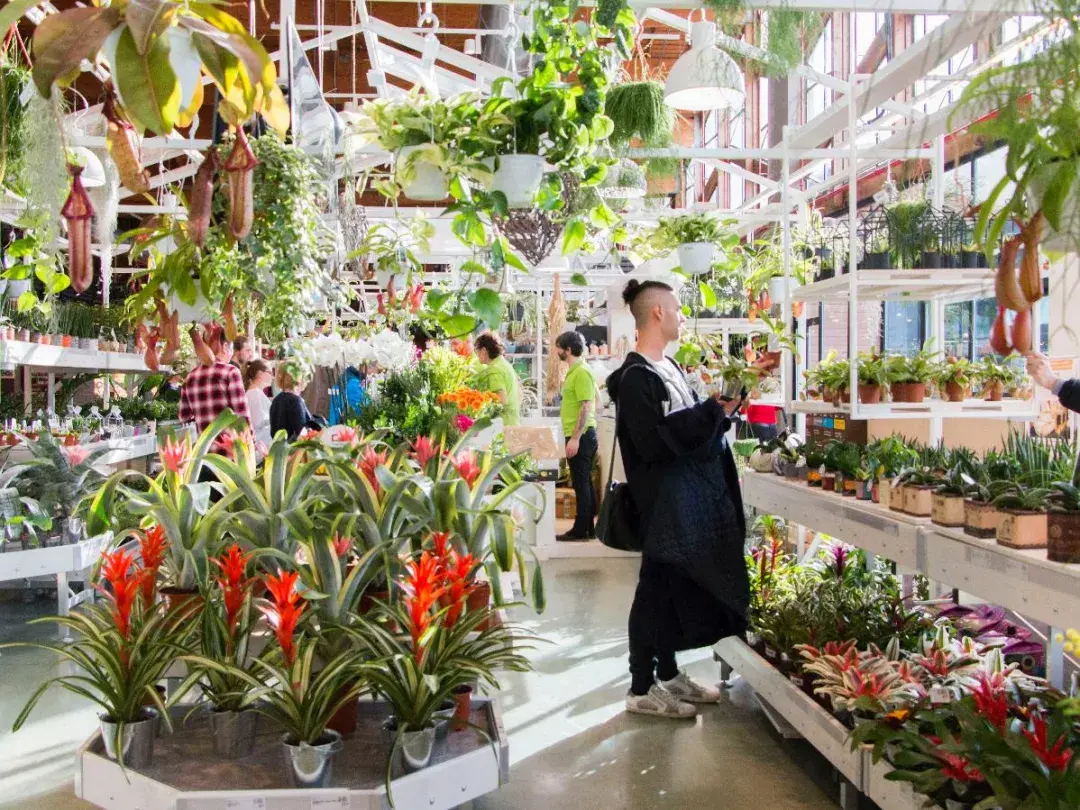 Eataly:农业旅游沉浸式消费体验天花板