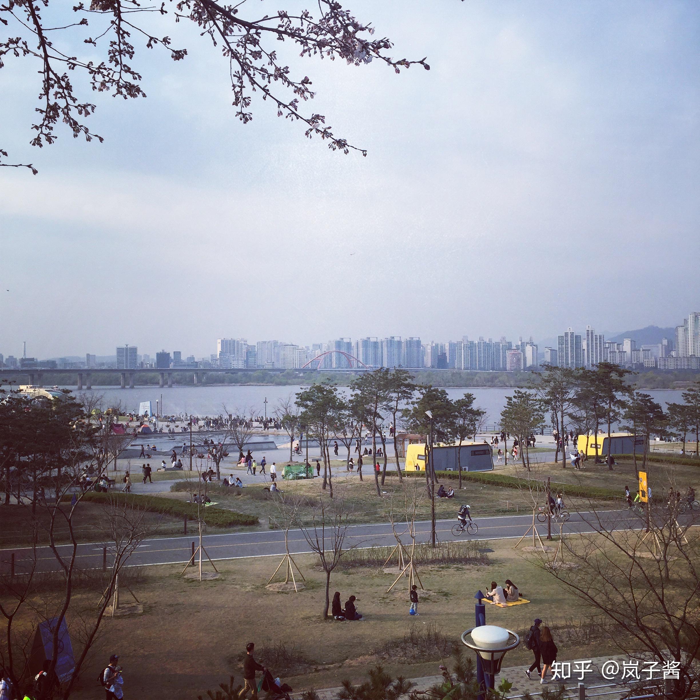 深入分析韩国剧在电影推荐中的成功秘诀与高分背后的故事