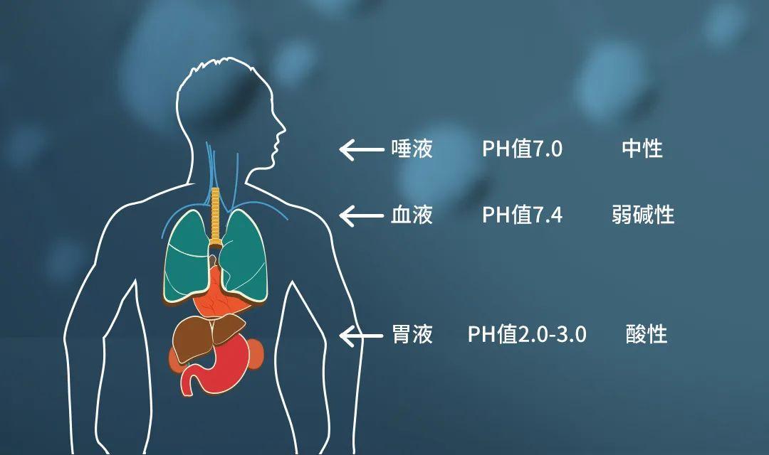 人体血液ph图片