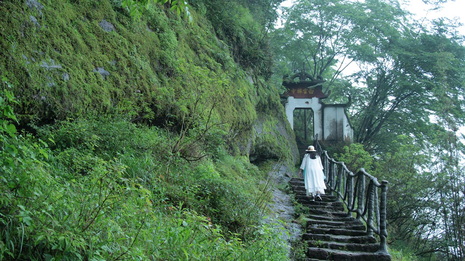 武夷山有什么好玩的?