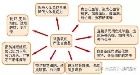 当你了解自由基就不会去降尿酸