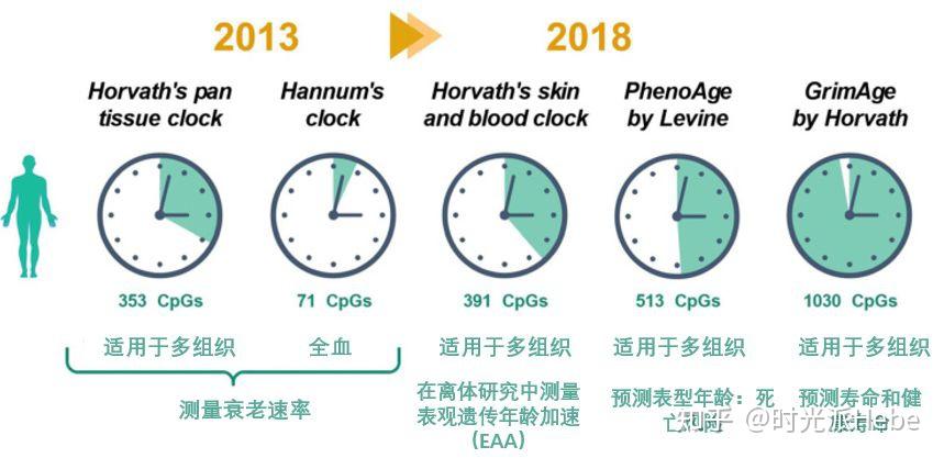 天生长寿&容易衰老?哈佛联合发布新衰老时钟:可量化天生衰老率! - 知乎