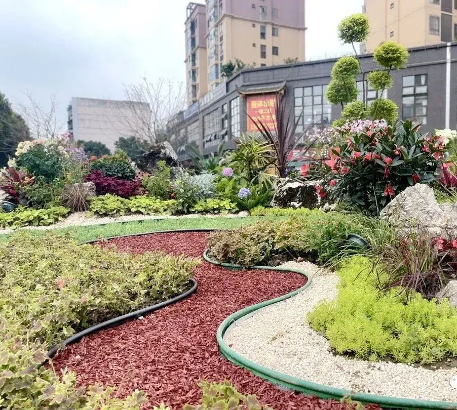 崇州街头花镜唯美浪漫