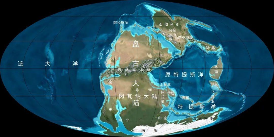 全面指南