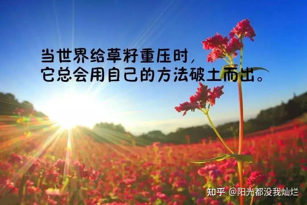 鼓励人积极向上努力奋斗的句子,看一句就热血沸腾,浑身是劲 - 知乎
