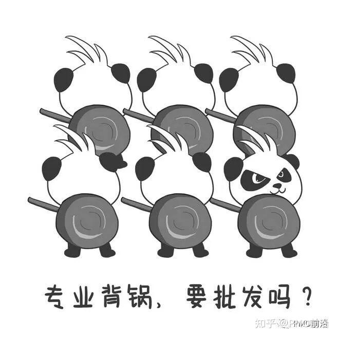 不背锅的项目经理,不是真正的项目经理 - 知乎