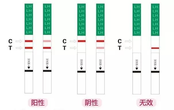 测不到强阳怎么回事强阳后什么时候安排功课