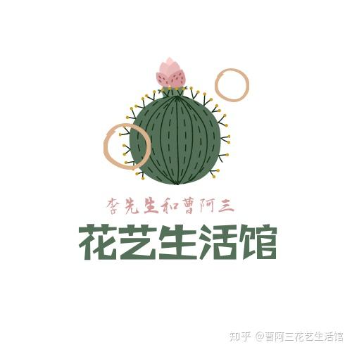 永生花 永不凋零的花 知乎