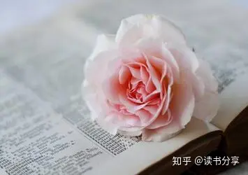 青少年科技知识竞赛_儿童阅读书单推荐_阅读习惯培养