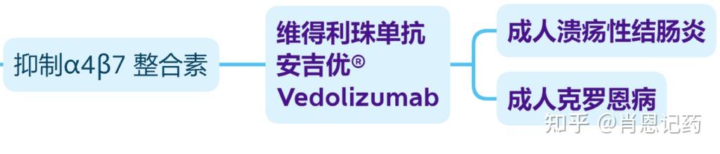 图像记忆 | α4β7整合素拮抗剂 | 维得利珠单抗 | 安吉优 | 溃疡性结肠炎、克罗恩病生物药 - 知乎