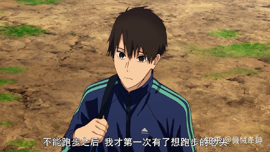 动画强风吹拂跑步教会我们的