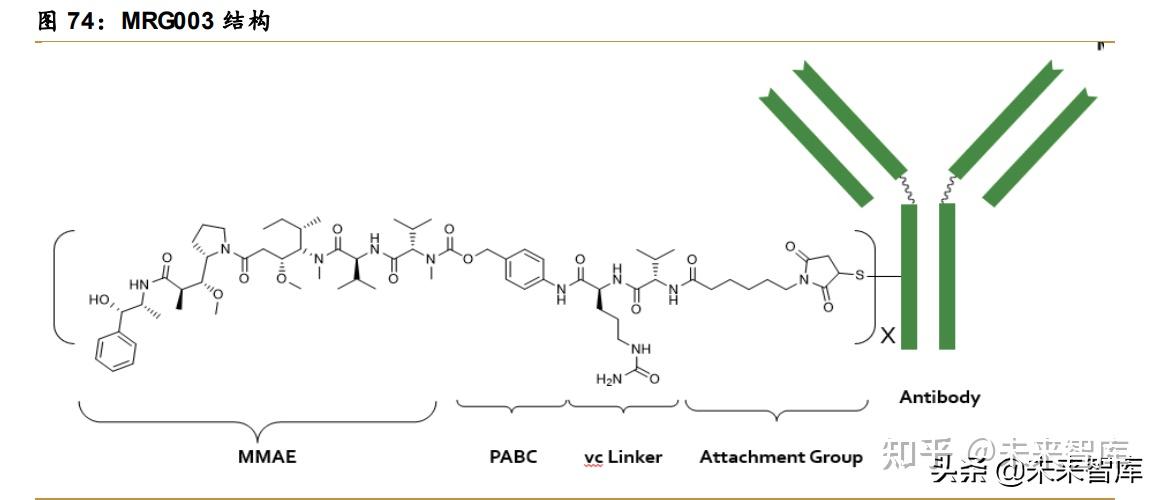 医药行业深度报告：创新驱动，ADC药物发展加速 - 知乎