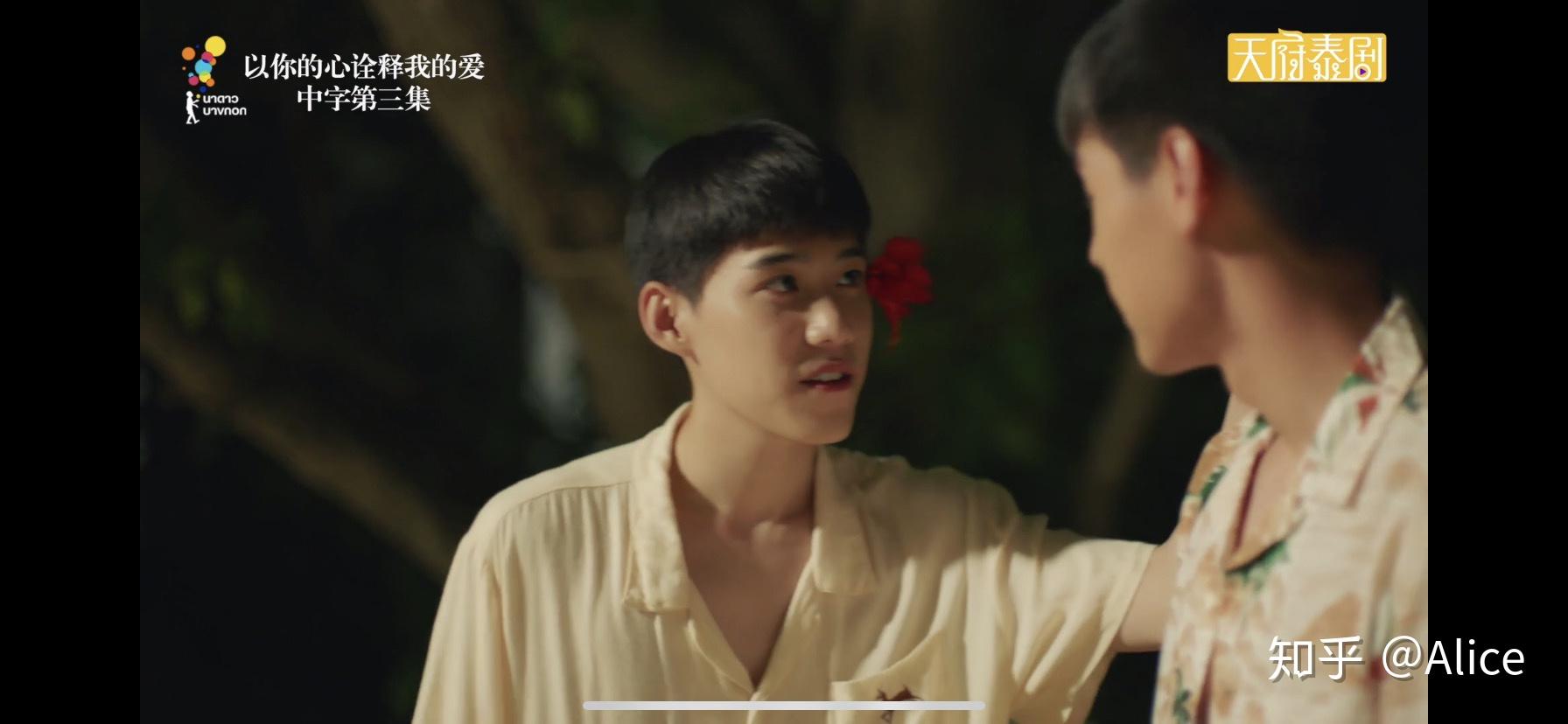 以你的心诠释我的爱开在心里的红色扶桑花