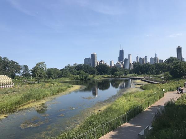 东北医生芝加哥游学记lincolnpark