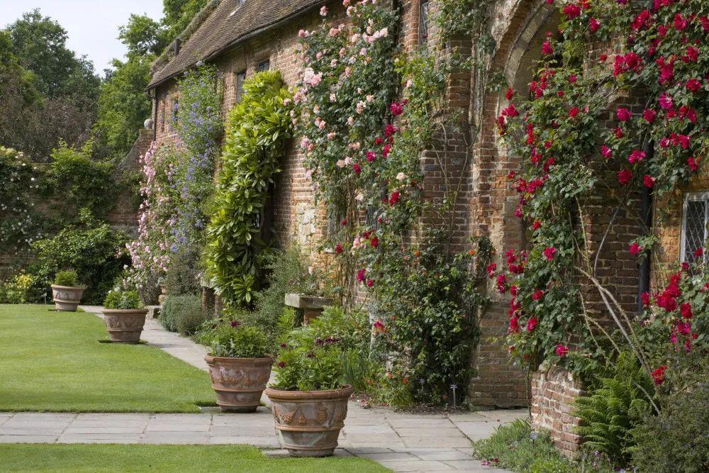 一个设计,一个栽种,夫妻协力打造的复古花园 - 知乎