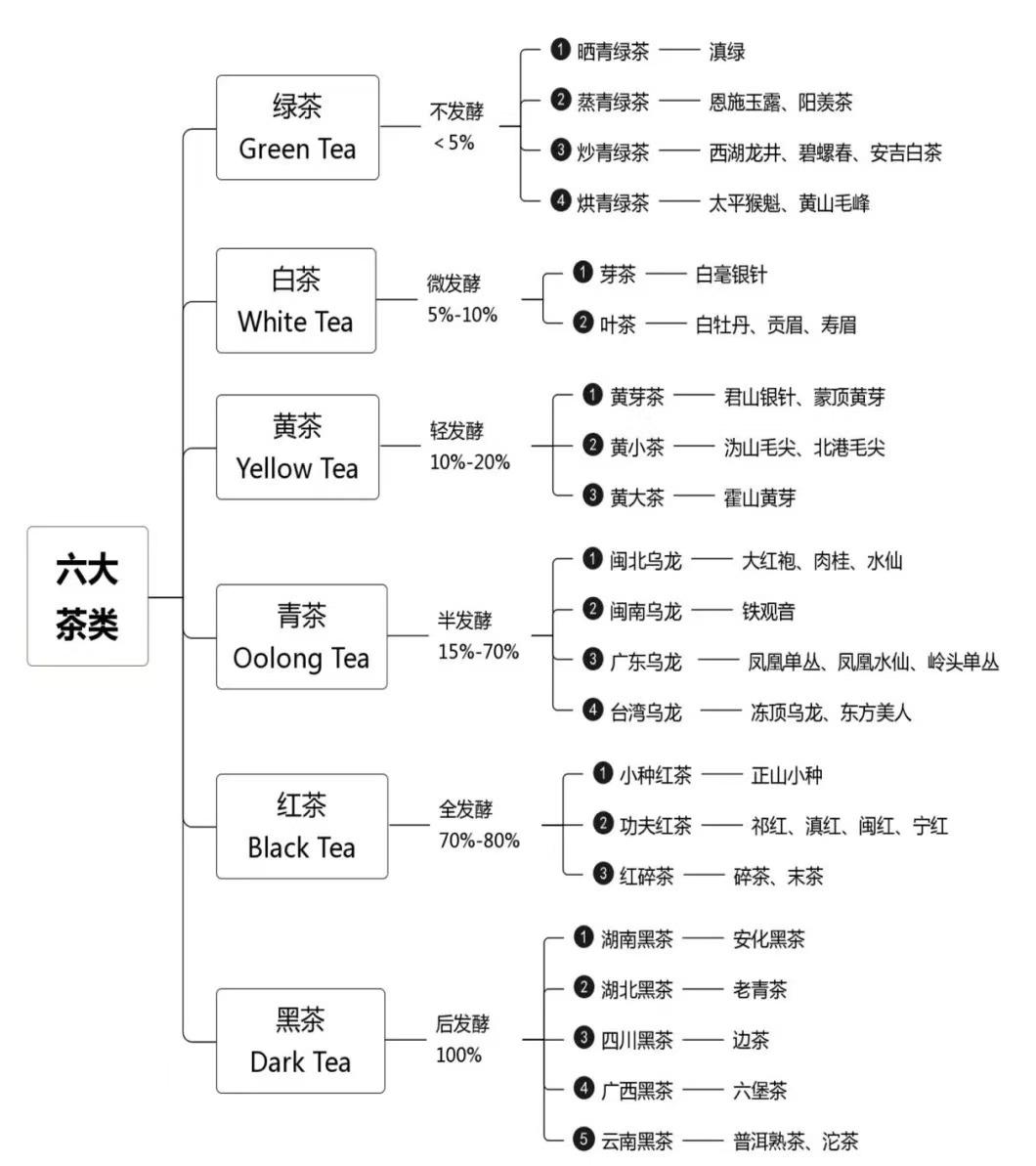 中国茶叶是怎么分类的,六大茶类的代表性品牌有哪些?