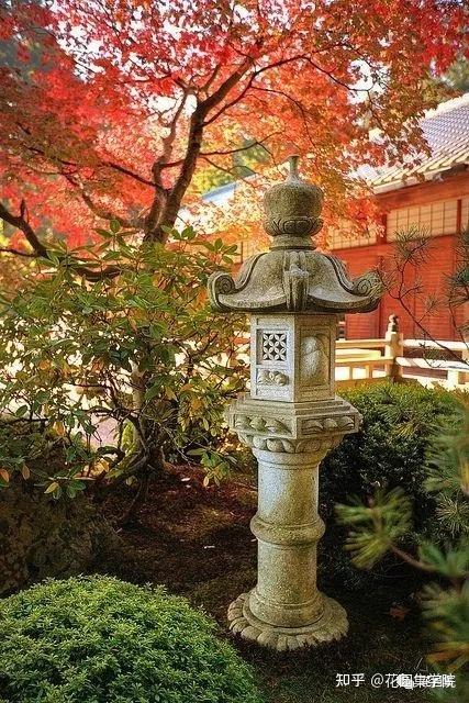 日式庭院该配什么植物？怎么配？看这里~ - 知乎
