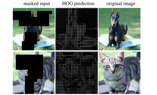 Mask Autoencoder 各类变体 - 知乎