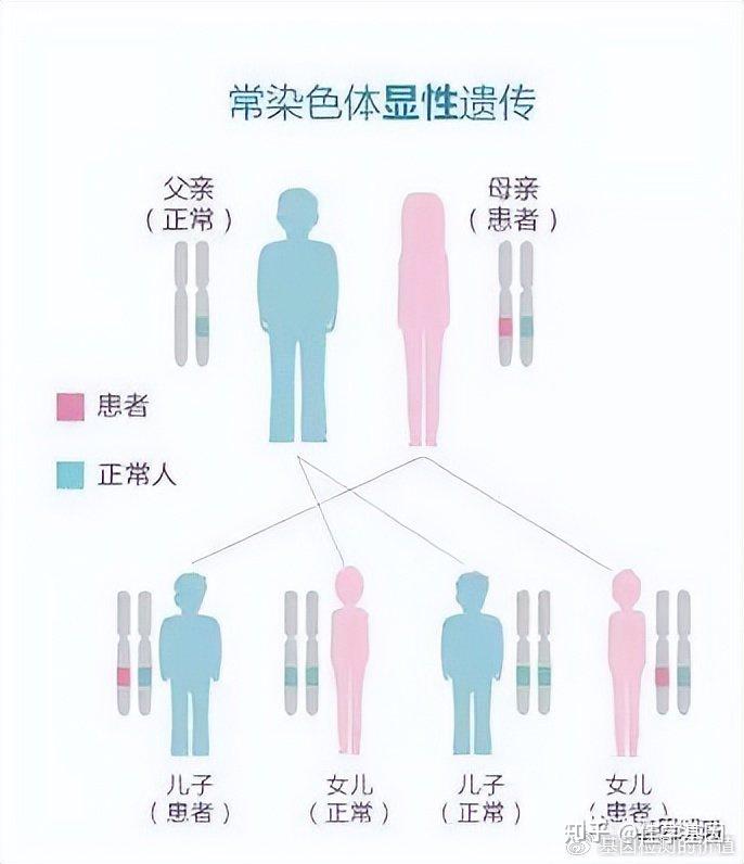 【佳学基因科普】想知道常染色显性遗传病如何遗传?基因检测告诉你 - 知乎