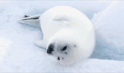 累瘫了累死宝宝了用英语怎么说