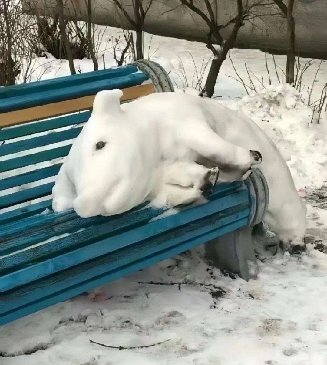 有哪些让人笑到肚子疼的搞笑图片?(四十三)