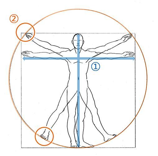 维特鲁威人画法图片