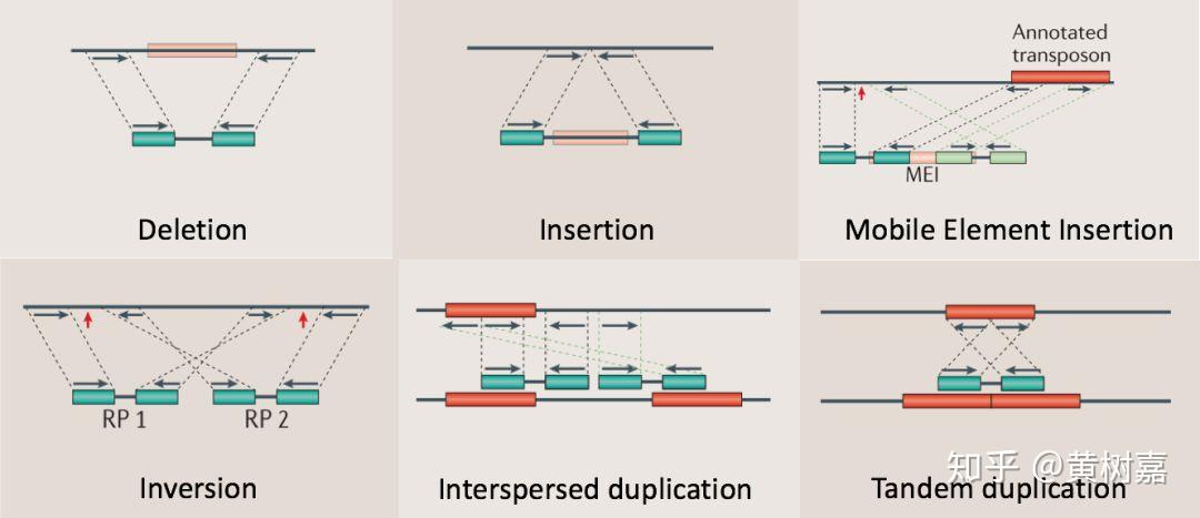 基因组结构性变异检测的方法及DNA-seq（转载） - 焦糖可丽饼 - 博客园