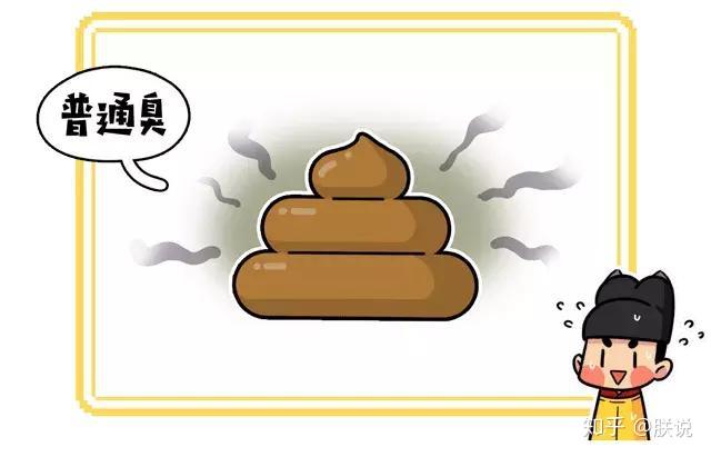 大便你的健康在我手上五分钟了解怎样拉出一坨完美的大便