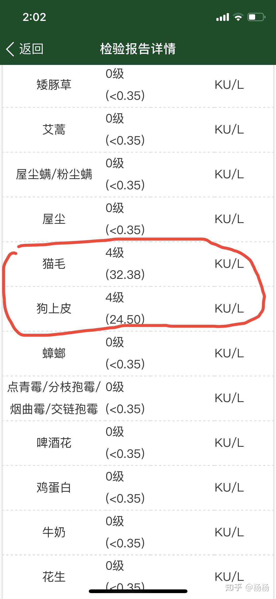 猫毛过敏4级为了心爱的它加油