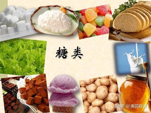 控糖宝典部分食物血糖生成指数糖类