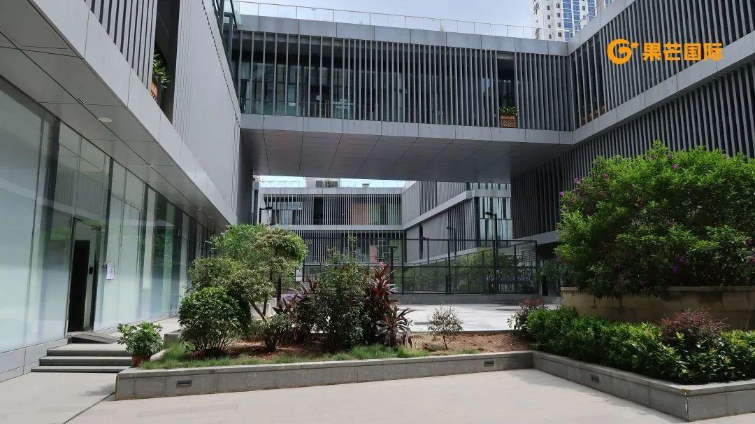 小芒访校日记十七年老牌国际学校深圳国际预科学院