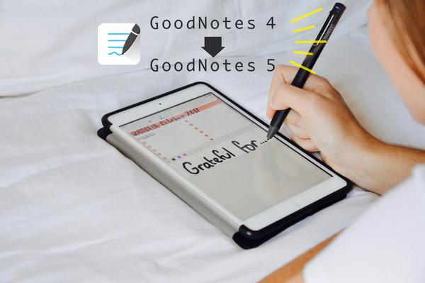 what is the ideal image size for goodnotes 5