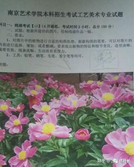 南京艺术学院历年校考考题及高分卷赏析