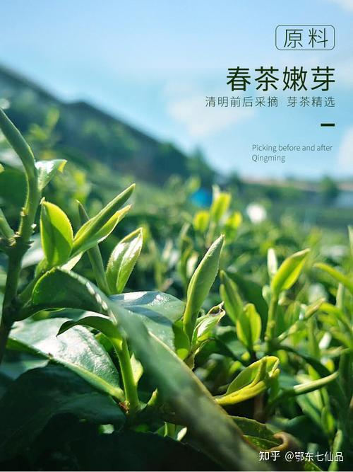 春茶预订