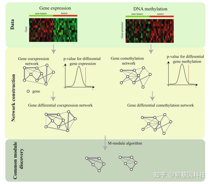易基因:多组学关联分析及组学分子实验验证方法(表观组+转录组+微生物组)|干货系列 - 深圳市易基因科技 - 博客园
