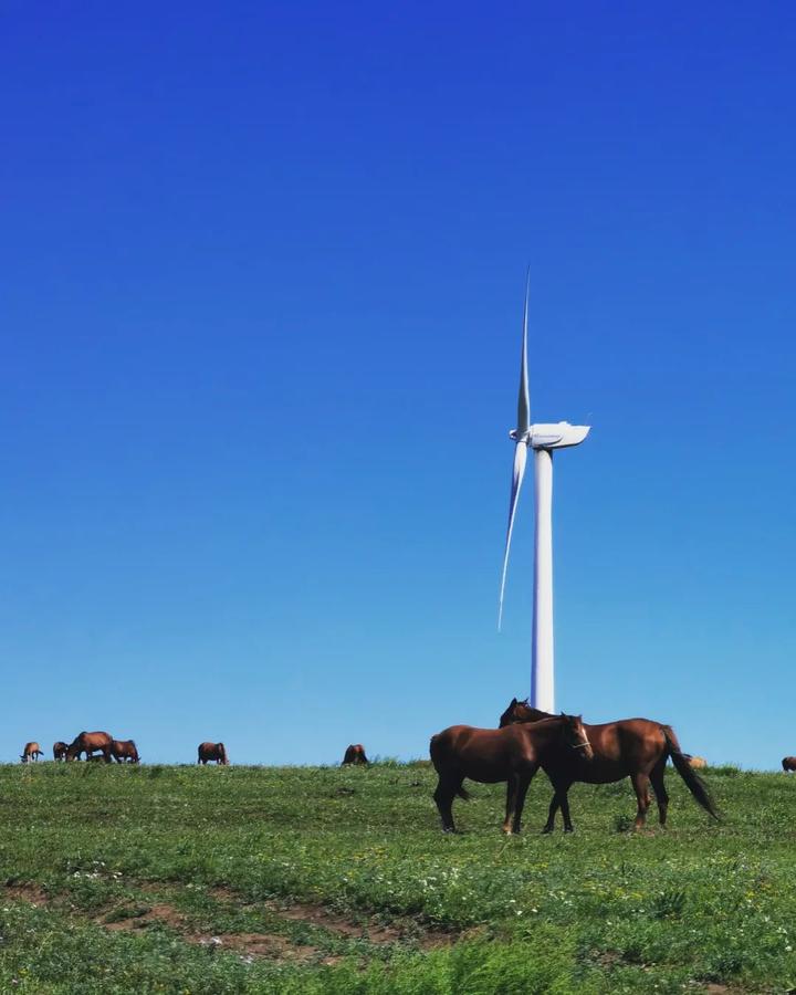 v2-17910856d09c646ac177c29d7d0ac6ee_720w