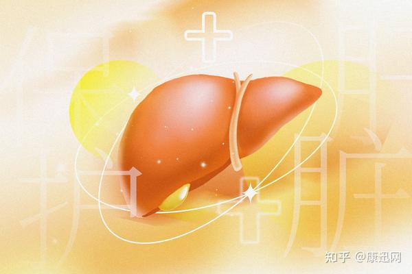 治疗药物性肝损伤的3类药物，一文总结！ - 知乎