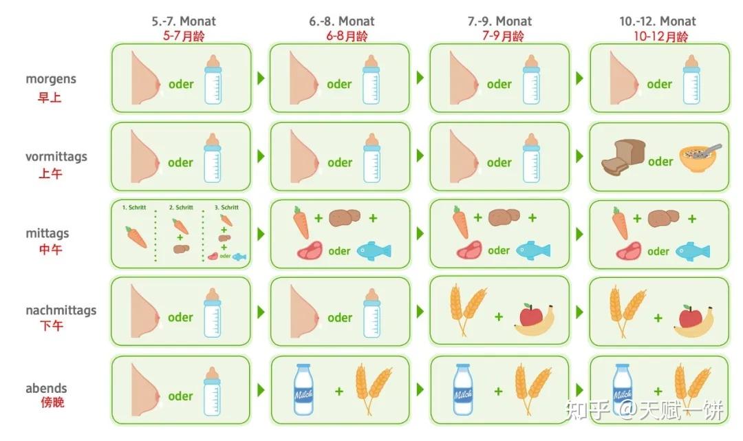 忘掉高铁米粉吧试试这个德式辅食添加法