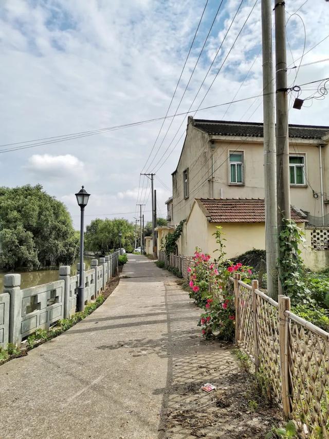 你见过上海的农村吗