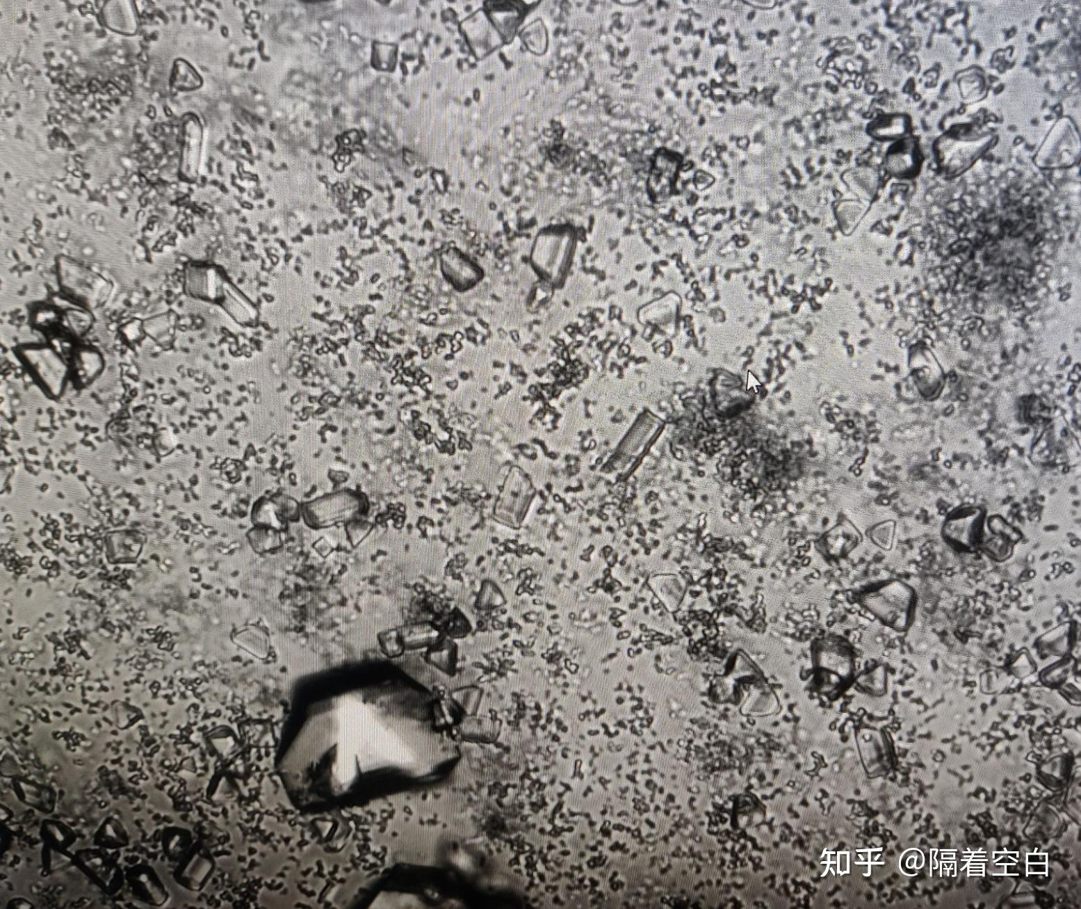桔梗菊糖结晶显微图图片
