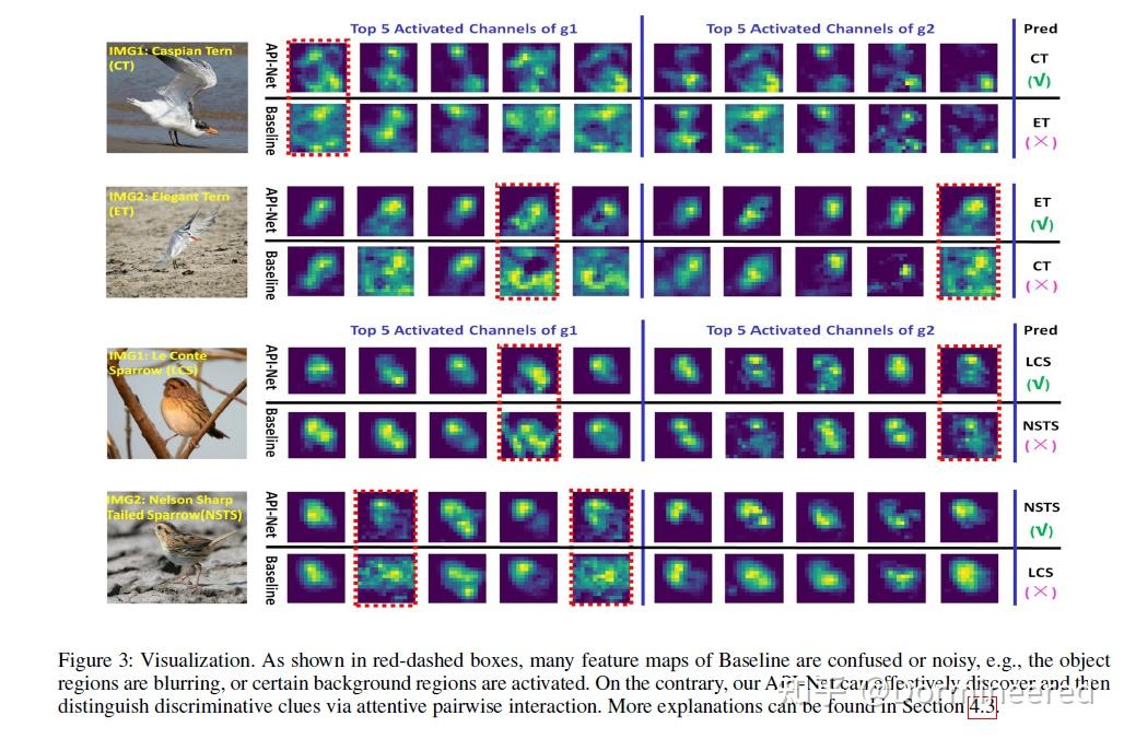 Learning Attentive Pairwise Interaction for FineGrained Classification