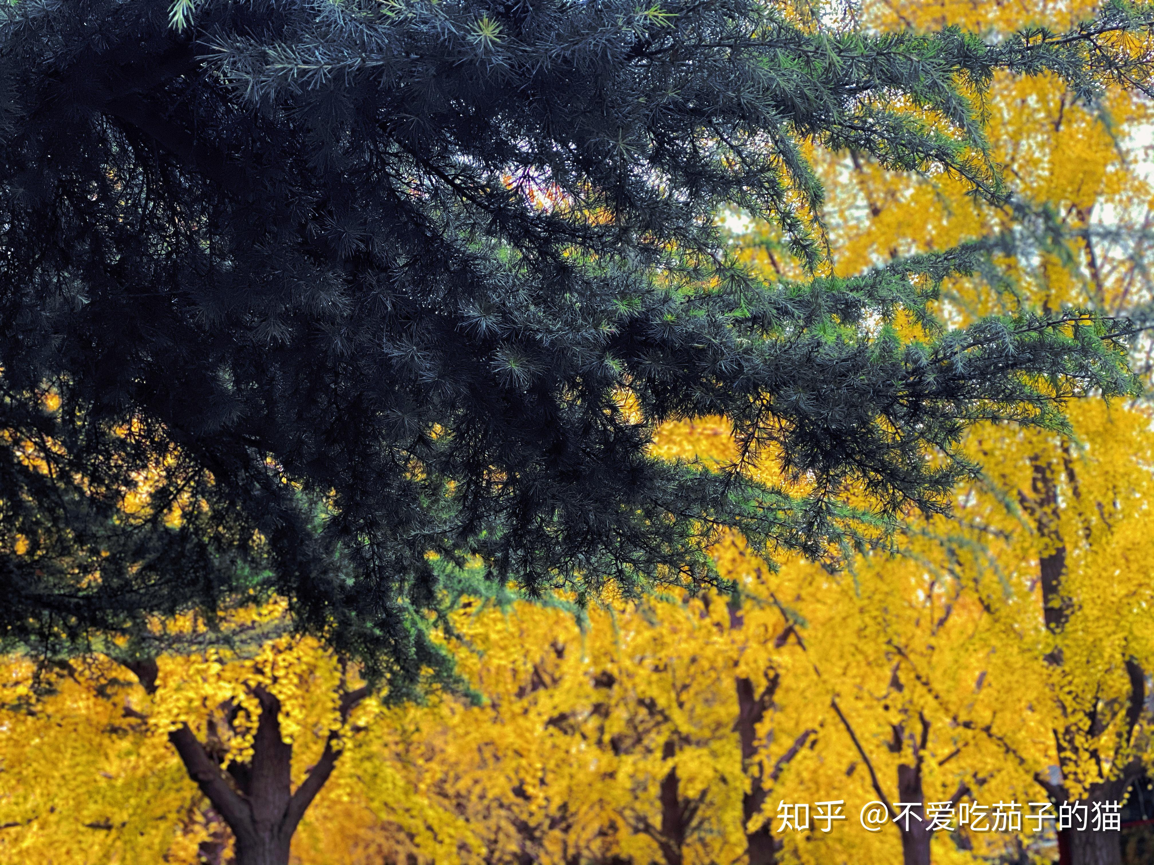 说说作为一个北漂人的感闻